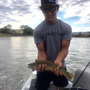 Meet your Posher, Tristan